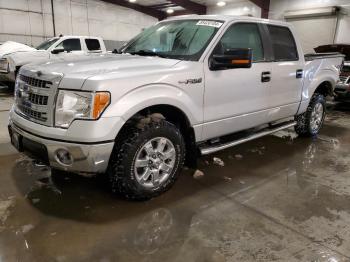  Salvage Ford F-150