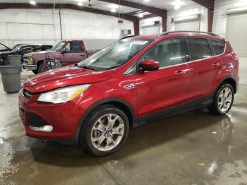  Salvage Ford Escape