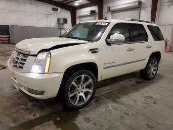  Salvage Cadillac Escalade