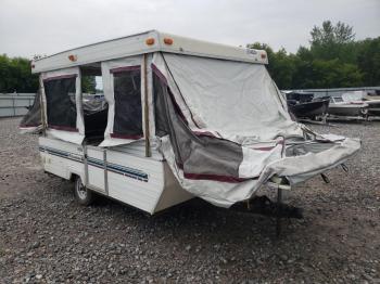  Salvage Palomino Trvl Trail