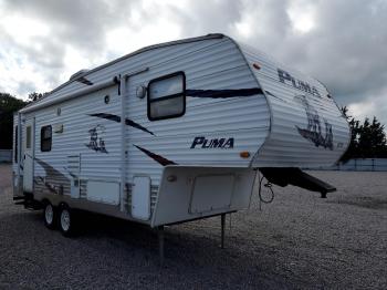  Salvage Palomino Puma