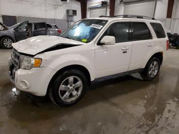  Salvage Ford Escape