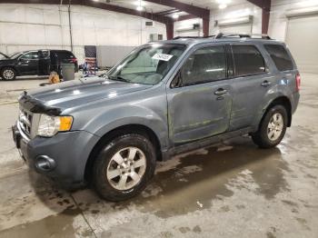  Salvage Ford Escape