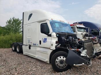  Salvage Freightliner Cascadia