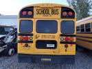 Blue Bschool Bus   Transi Image 7