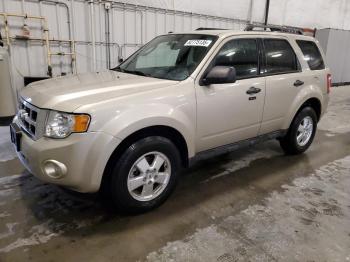  Salvage Ford Escape
