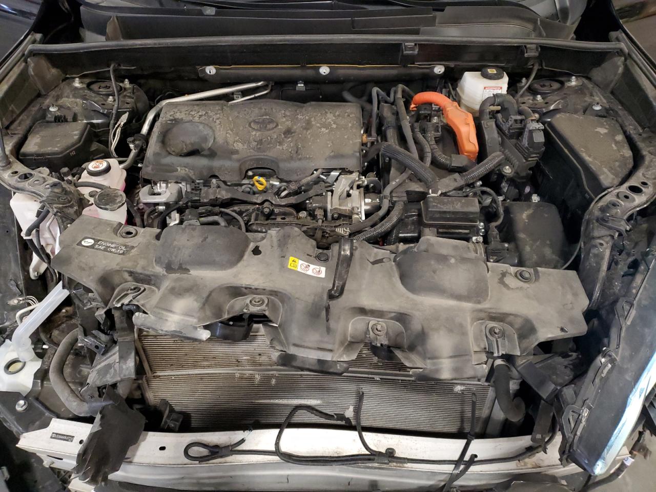 Toyota Venza Le Image 5