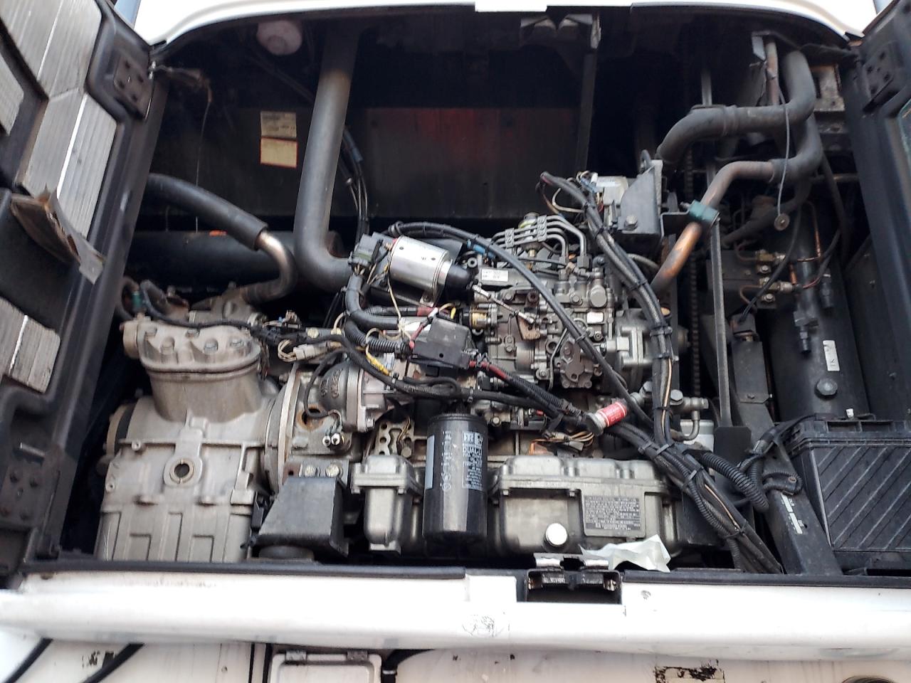 Great Dane Reefer Image 7