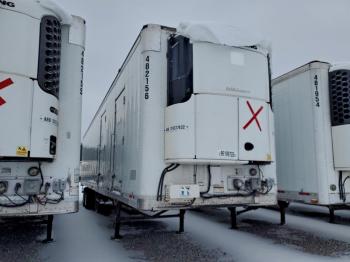  Salvage Great Dane Other