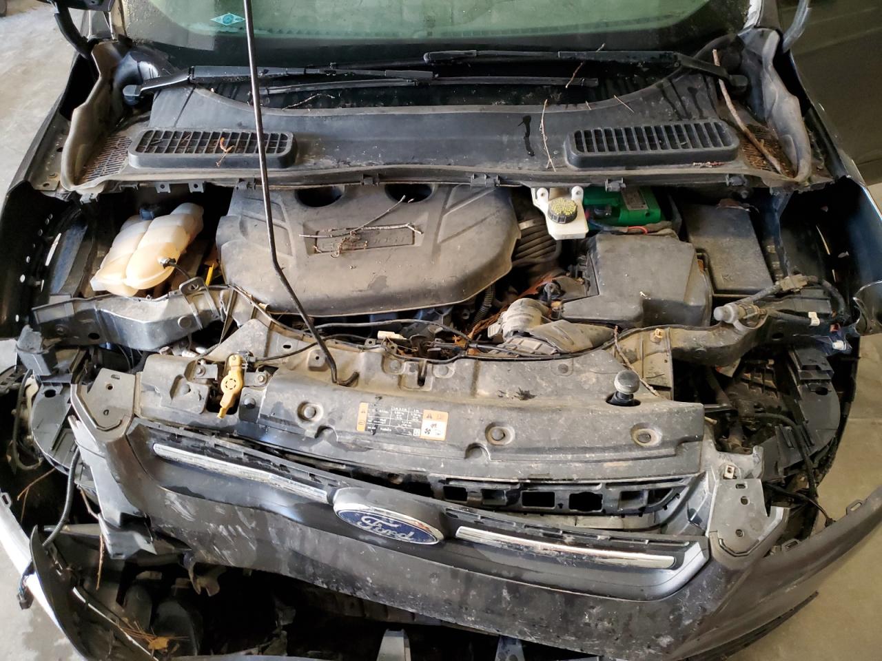 Ford Escape Se Image 10