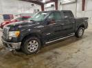 Ford F-150 Supercrew Image 1