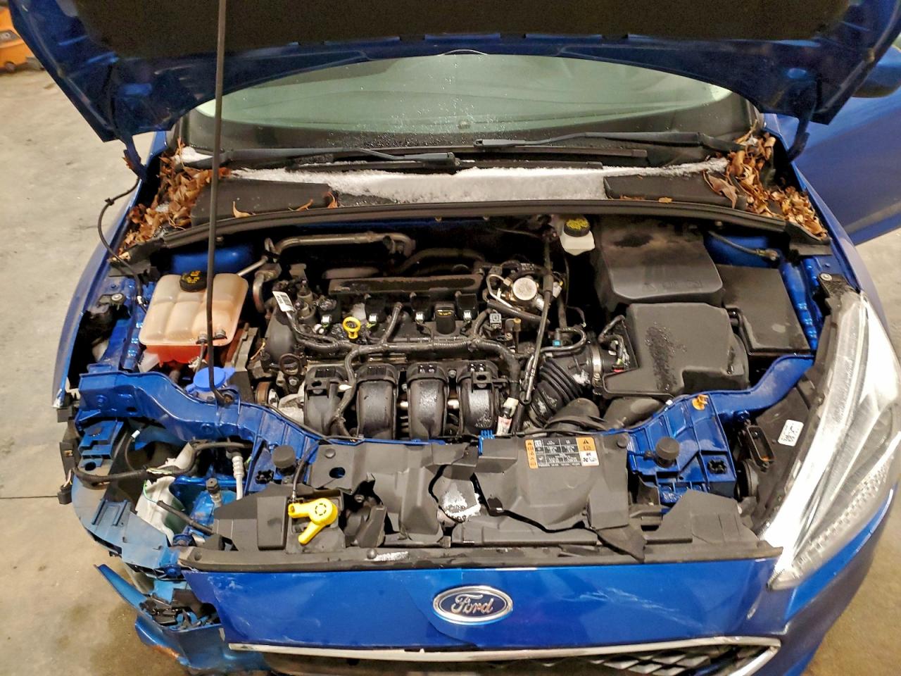 Ford Focus Se Image 7