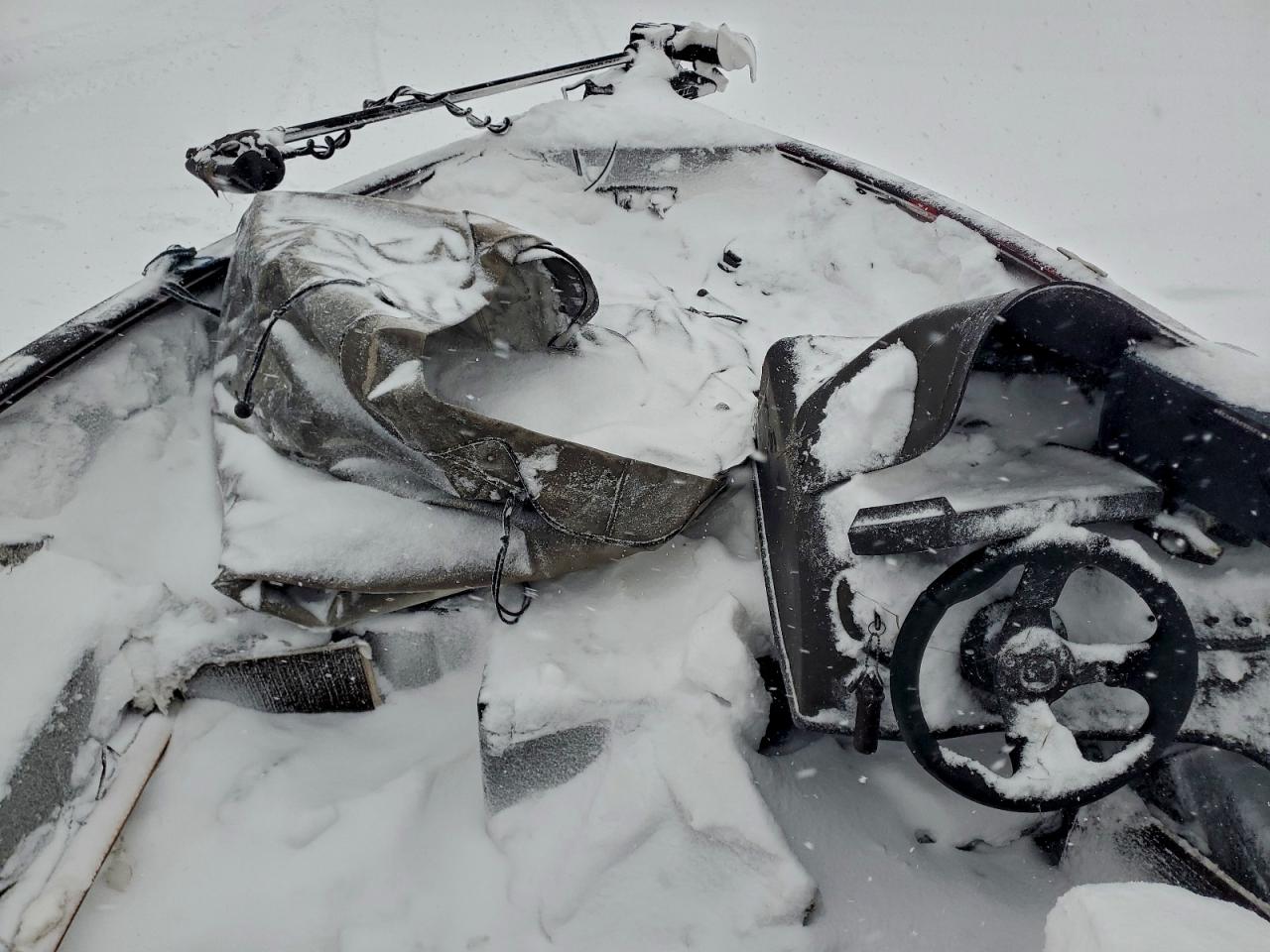 Tracker Boat Image 4