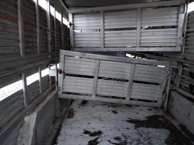 Unknown Other Image 10