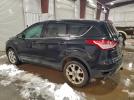 Ford Escape Sel Image 12