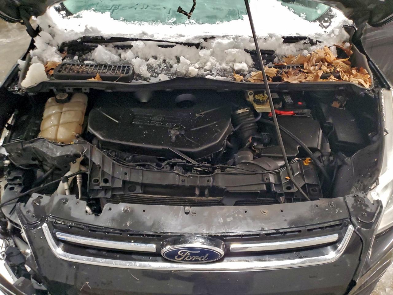 Ford Escape Sel Image 9